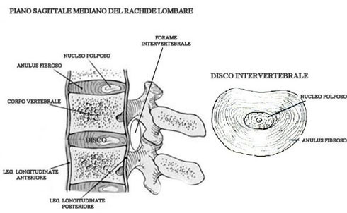 Piano Sagittale del rachide lombare